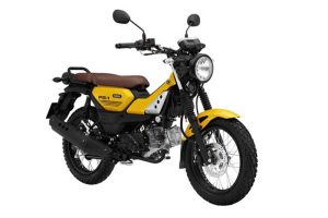 Xe Yamaha PG 1 - 115cc