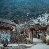 TOUR HÀ GIANG 3 NGÀY 2 ĐÊM KHÁM PHÁ CAO NGUYÊN ĐÁ ĐỒNG VĂN ( Truyền Thống ) .