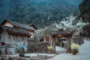 TOUR HÀ GIANG 3 NGÀY 2 ĐÊM KHÁM PHÁ CAO NGUYÊN ĐÁ ĐỒNG VĂN ( Truyền Thống ) .